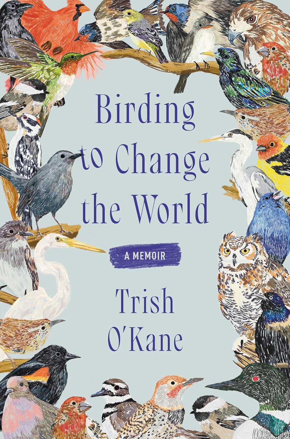 Illustrated book cover featuring diverse birds surrounding the title "Birding to Change the World." Text reads "A Memoir" by Trish O'Kane.