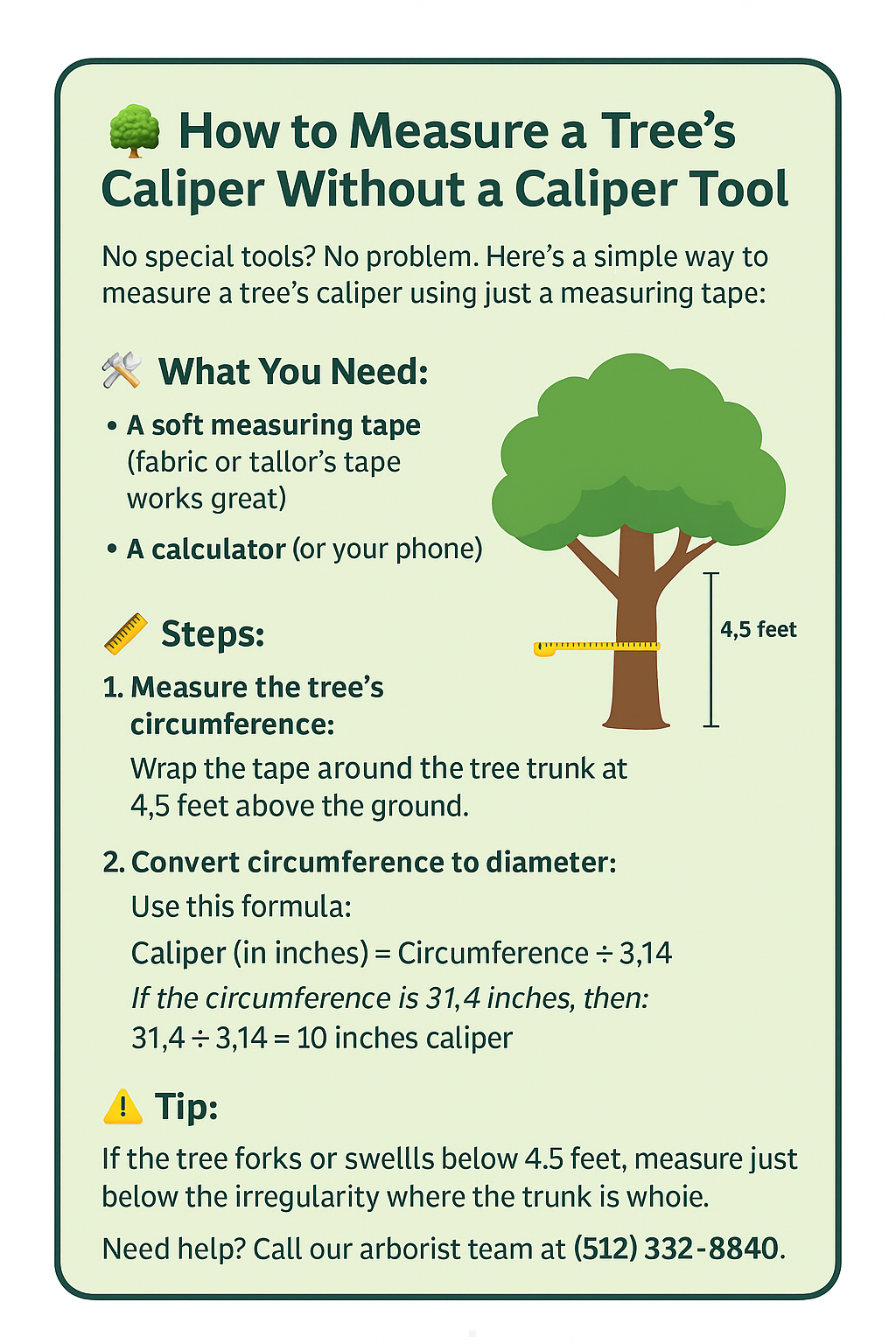 Infographic showing how to measure a tree’s caliper using a measuring tape and a simple formula, with visual and written steps.